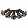 Drag Specialties Black Chrome Rear Disc Brake Rotor Mounting Bolts